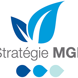 Stratégie MGE 250 - Une