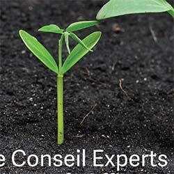 Sage Conseil Expert - Une