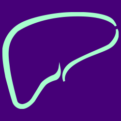 Hepatinov